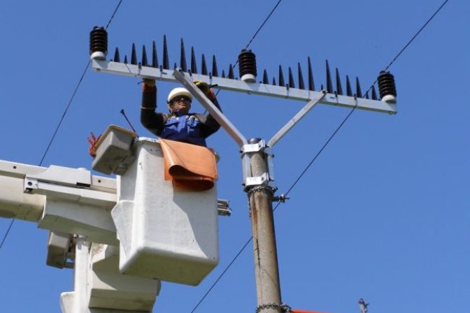 Elektrina vse