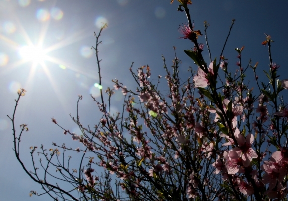 Jar, slnko, počasie