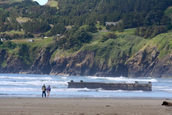 Na pláž v Oregone priplávalo mólo z Japonska