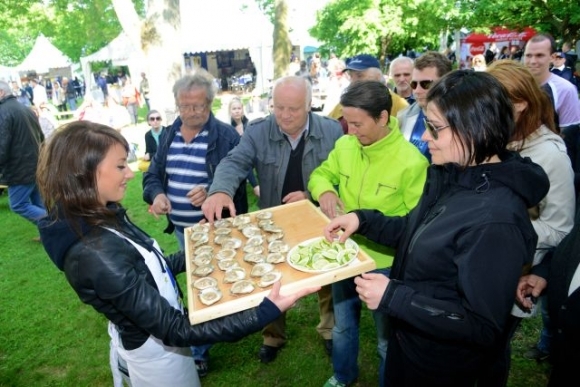 Slovak Food Festival 2013