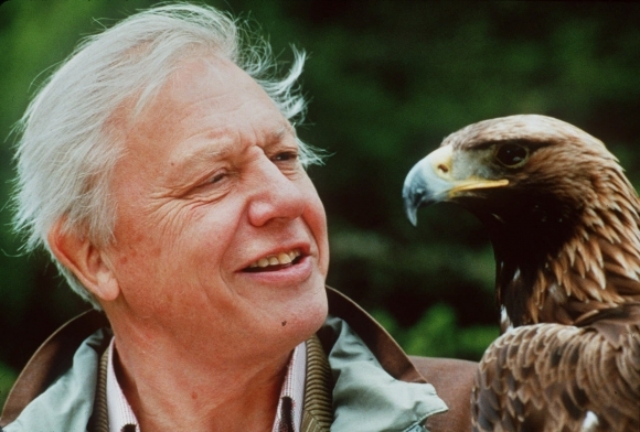 David Attenborough