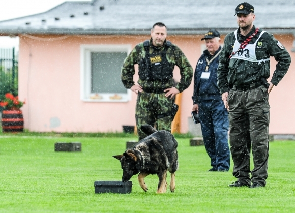 Majstrovstvá Slovenska policajných psov