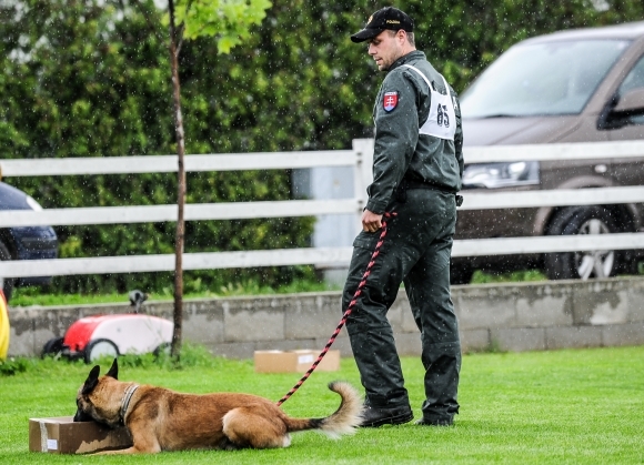 Majstrovstvá Slovenska policajných psov
