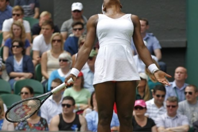 Serena Williamsová - Mandy Minellová
