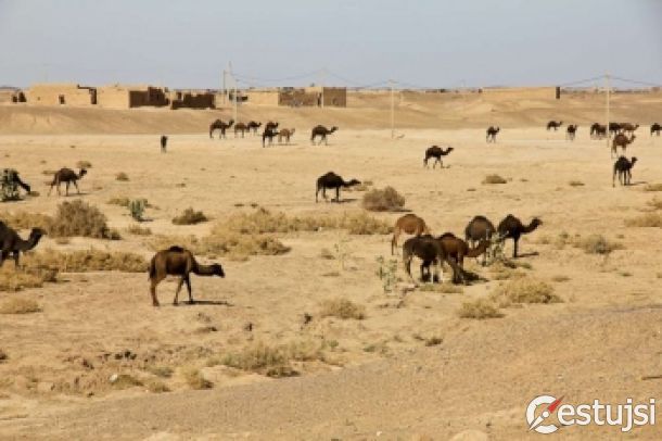 Afrika: Tisíc a jedna noc v marockej púšti