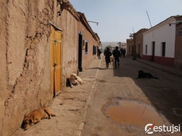Čile: Púšť, psy a Pinochet