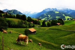 Gstaad – švajčiarska rozprávka