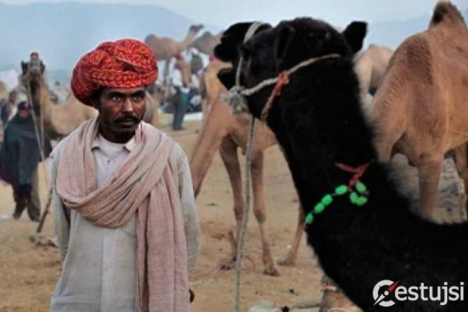 Inšpektorov znechutili v Tunisku pláže plné výkalov