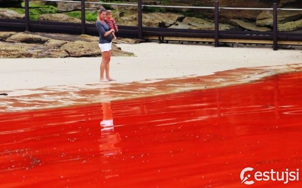 Krvavý oceán: Prírodný fenomén uzavrel austrálske pláže