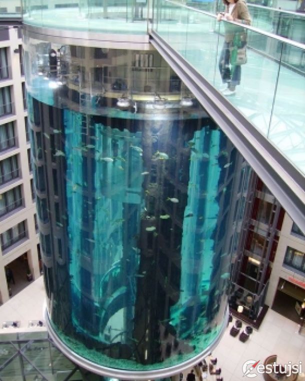 Najväčšie hotelové akvárium napĺňa milión litrov vody