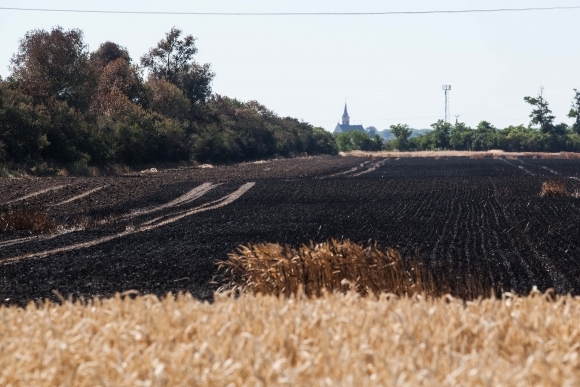 Požiar poľa uhasili, začalo sa trestné stíhanie