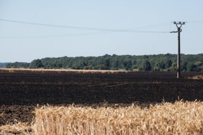 Požiar poľa uhasili, začalo sa trestné stíhanie