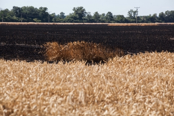 Požiar poľa uhasili, začalo sa trestné stíhanie