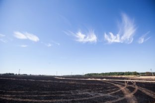 Požiar poľa uhasili, začalo sa trestné stíhanie