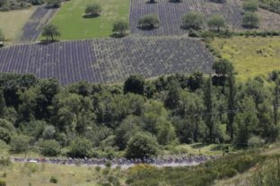 Šestnásta etapa Tour de France