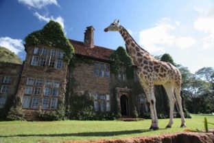 V luxusnom hoteli v Nairobi raňajkujú hostia so žirafami