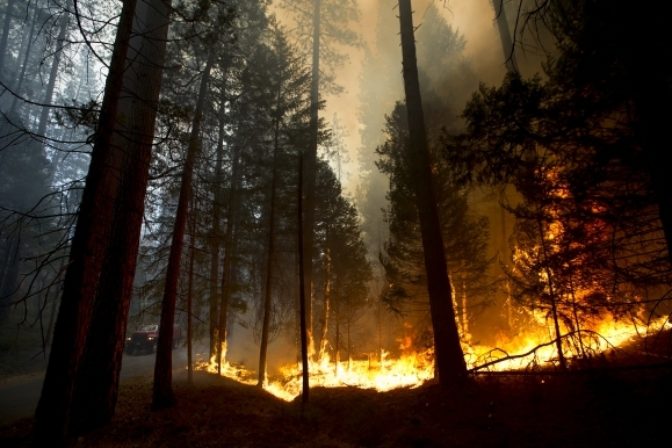 Oheň ohrozuje Yosemitský národný park
