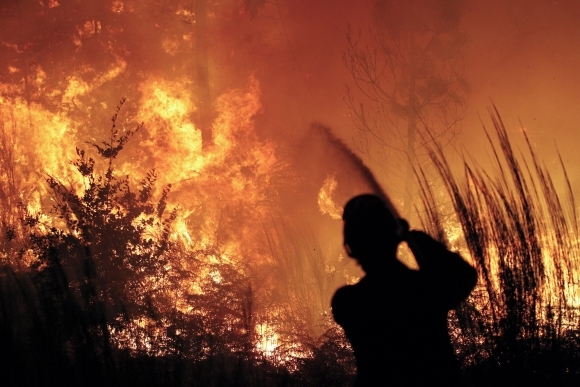 Portugalské lesy zachvátili plamene