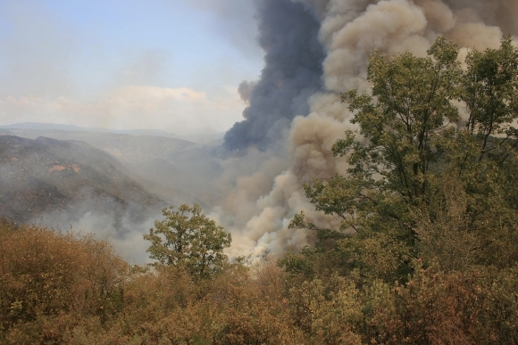 Požiar v Yosemitskom parku