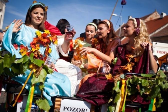 Vinobranie v Modre