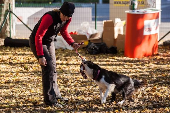 Otvorili prvý psí park v Bratislave