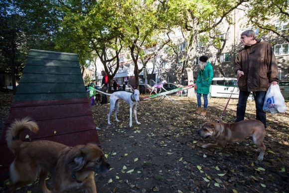 Otvorili prvý psí park v Bratislave
