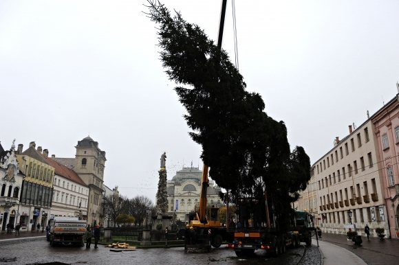 Stavanie vianočného stromčeka v Košiciach