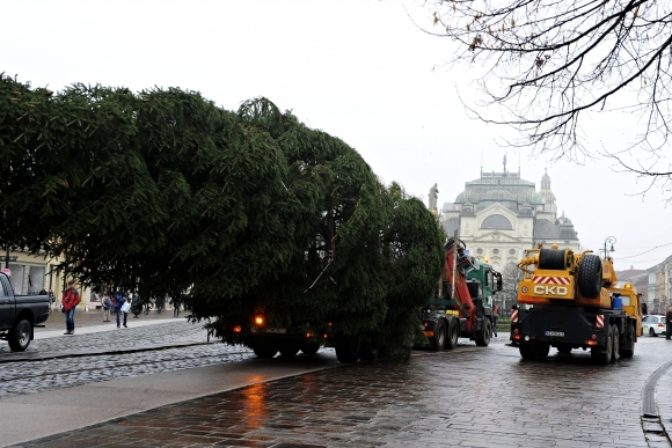 Stavanie vianočného stromčeka v Košiciach