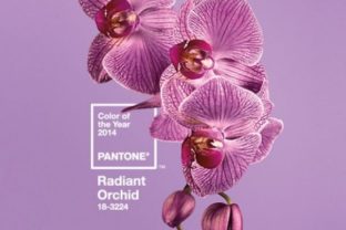 Radiant orchid pantone
