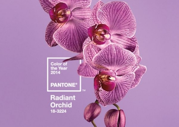 Radiant orchid pantone