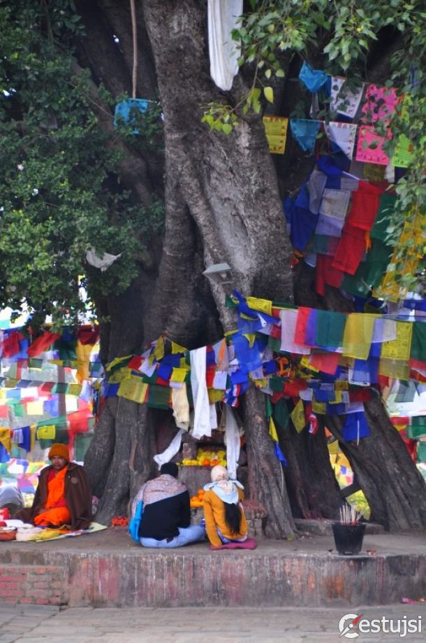 Nepálske Lumbini: V rodisku Budhu