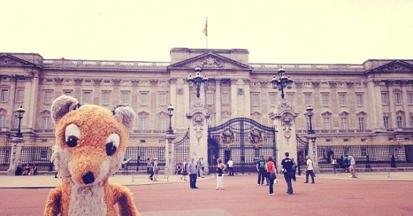 Plyšový cestovateľ prešiel celý svet