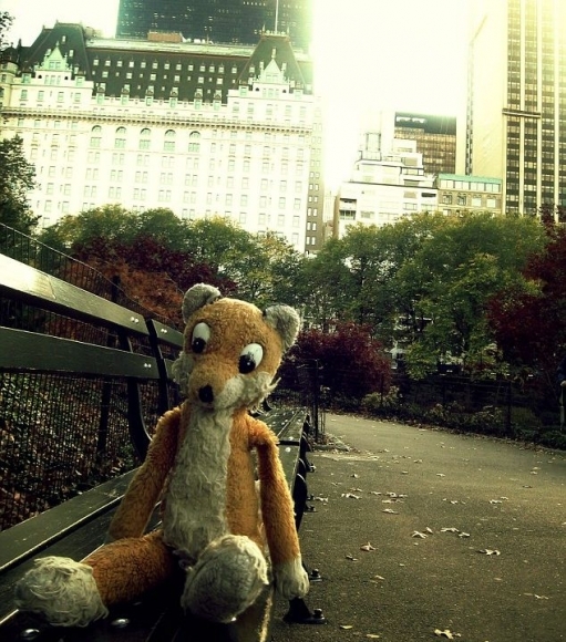 Plyšový cestovateľ prešiel celý svet