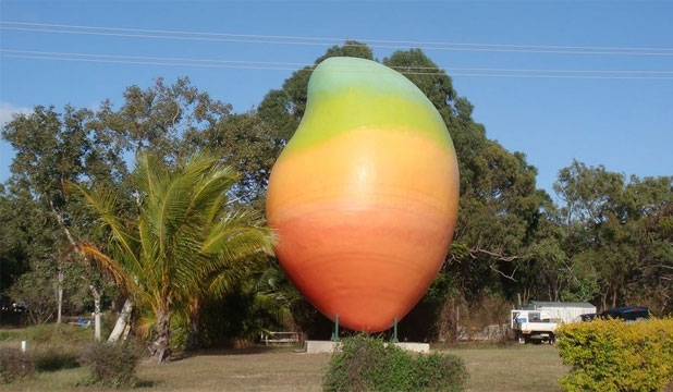 Mango bowen
