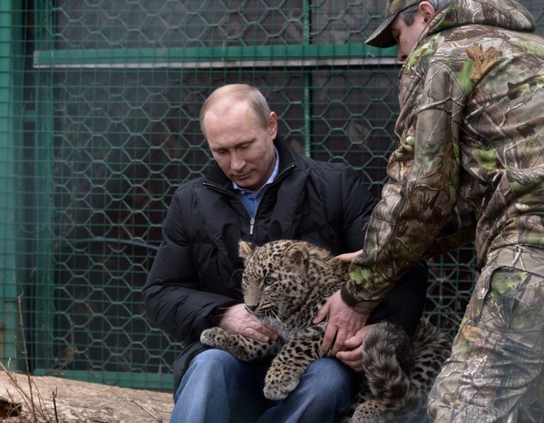 Putin leopard