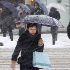 Tokio zasypal sneh, spôsobil dopravný kolaps