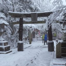 Tokio zasypal sneh, spôsobil dopravný kolaps