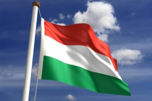 Maďari