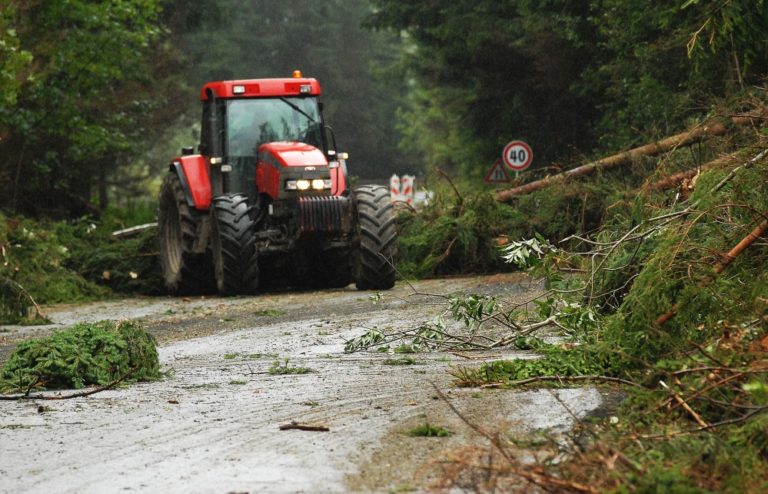Strom vietor traktor les