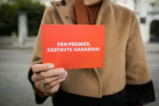 Aktivisti prišli pred úrad vlády, nechcú zvolenie Harabina