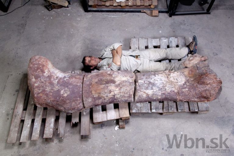 Dinosaurus
