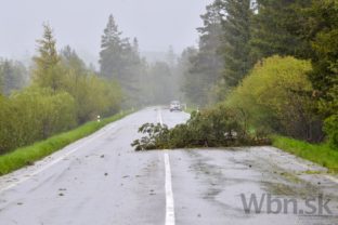 V Tatrách padajú stromy, viaceré cesty museli uzavrieť