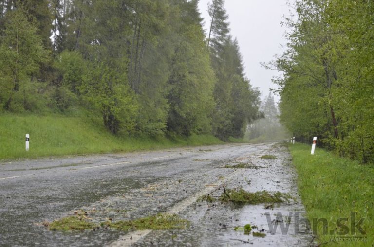 V Tatrách padajú stromy, viaceré cesty museli uzavrieť