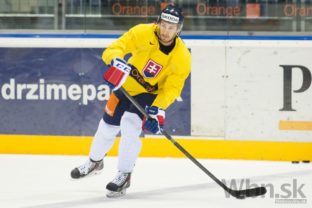 Vizitky slovenských hokejistov, ktorí budú hrať na svetovom šampionáte