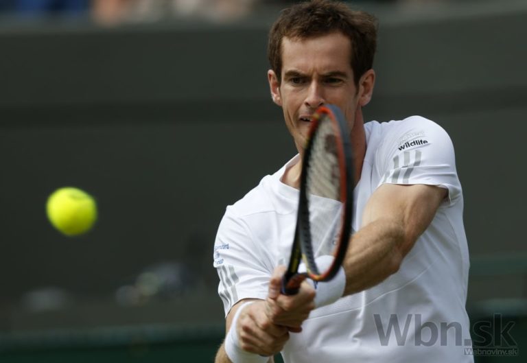 Andy murray