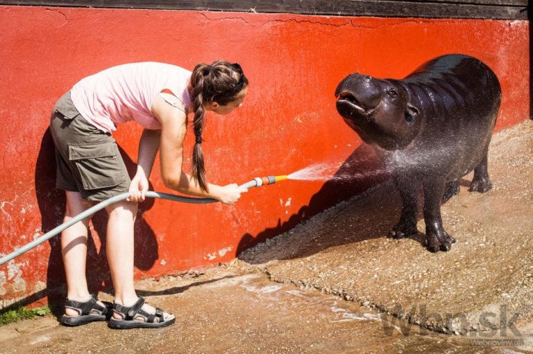 Hroch zoo