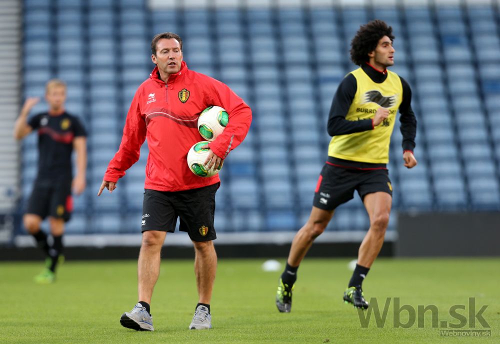 Marc Wilmots