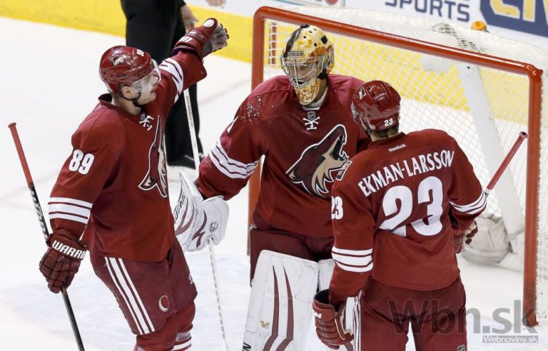 Phoenix coyotes