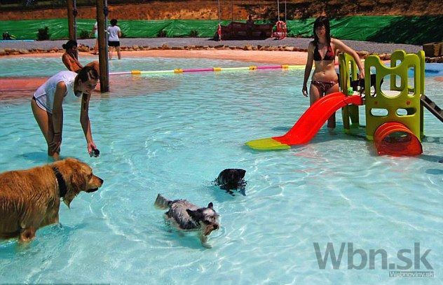 Španielske letovisko osvieži štvornohých, má prvý bazén psy
