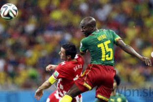 Zápas Chorvátska s Kamerunom